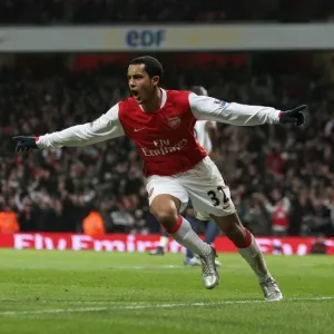 Theo Walcott celebrates scoring Arsenals goal
