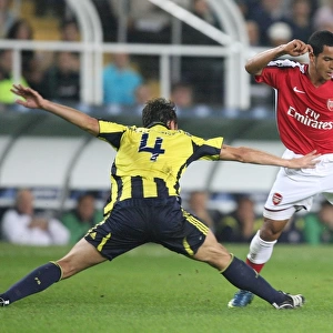 Theo Walcott vs. Edu: Unforgettable Clash in Fenerbahce's 2-5 Victory over Arsenal in UEFA Champions League Group G