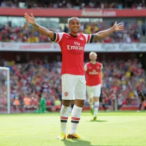 Theo Walcott's Goal Celebration: Arsenal vs. Galatasaray, Emirates Cup 2013