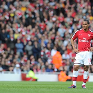 Theo Walcott's Goal Secures Arsenal's 1:0 Victory Over Wolverhampton Wanderers, FA Premier League 2010