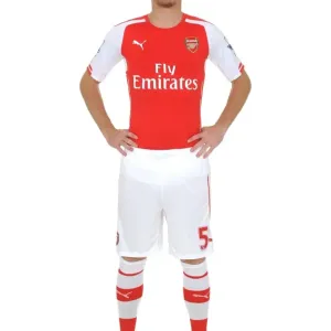 Thomas Vermaelen at Arsenal's Emirates Stadium (2014-2015)