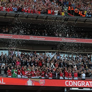 Thomas Vermaelen Lifts the FA Cup: Arsenal's Triumph over Hull City (2014)