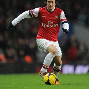 Tomas Rosicky: In Action for Arsenal Against Cardiff City, Premier League 2013-14