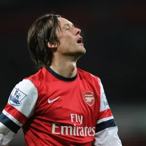 Tomas Rosicky: In Action for Arsenal Against Swansea City (2014)