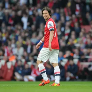 Tomas Rosicky in Action: Arsenal vs Manchester City, Premier League 2013-2014