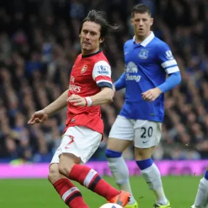 Tomas Rosicky in Action: Everton vs. Arsenal, Premier League 2013-2014