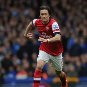 Tomas Rosicky in Action: Everton vs Arsenal, Premier League 2013/14