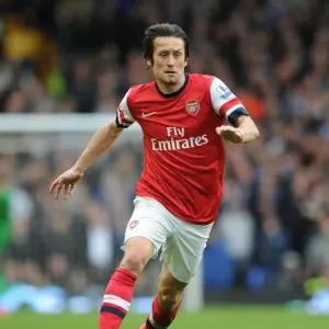 Tomas Rosicky in Action: Everton vs Arsenal, Premier League 2013/14