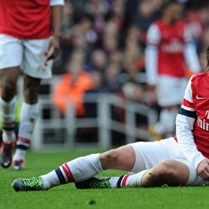 Tomas Rosicky: Arsenal's FA Cup Star