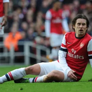 Tomas Rosicky: Arsenal's FA Cup Star