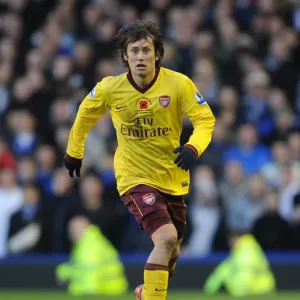 Tomas Rosicky Scores the Winning Goal Print