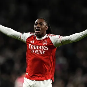 Tottenham Hotspur v Arsenal - Premier League