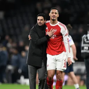 Tottenham Hotspur v Arsenal - Premier League