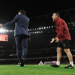Unai Emery and Juan Carlos Carcedo Lead Arsenal Against Wolverhampton Wanderers, 2018-19 Premier League