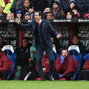 Unai Emery Leads Arsenal Against Crystal Palace in Premier League Showdown (2018-19)