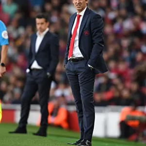 Unai Emery Leads Arsenal Against Everton in Premier League Clash