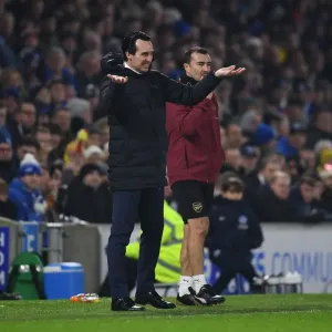 Unai Emery Leads Arsenal in Premier League Battle against Brighton Unai Emery Leads Arsenal in Premier League Battle against Brighton