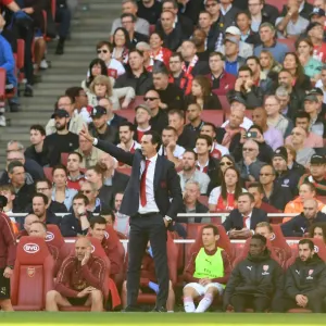 Unai Emery Leads Arsenal in Premier League Clash Against Watford (2018-19)