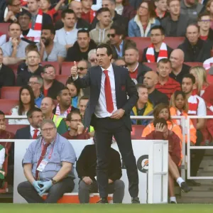 Unai Emery Leads Arsenal Against Watford in Premier League Showdown (2018-19)