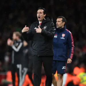 Unai Emery's Determination: Arsenal vs. Wolverhampton Wanderers in the Premier League Unai Emery's Determination: Arsenal vs. Wolverhampton Wanderers in the Premier League
