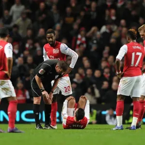 Van Persie's Injury Drama: Manchester City vs. Arsenal, 2011-12 Season - Phil Dowd Referees