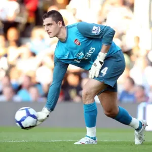 Vito Mannone: The Hero of Arsenal's 1-0 Victory over Fulham in the Barclays Premier League Vito Mannone: The Hero of Arsenal's 1-0 Victory over Fulham in the Barclays Premier League