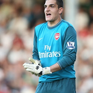 Vito Mannone's Heroic Performance: Arsenal's 1-0 Victory at Fulham, 2009