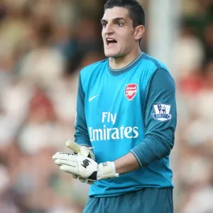Vito Mannone's Heroic Performance: Arsenal's 1-0 Victory at Fulham, 2009 Vito Mannone's Heroic Performance: Arsenal's 1-0 Victory at Fulham, 2009