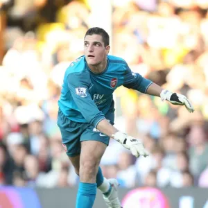 Vito Mannone's Heroics: Arsenal's 1-0 Win Over Fulham, September 2009 Vito Mannone's Heroics: Arsenal's 1-0 Win Over Fulham, September 2009