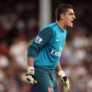 Vito Mannone's Triumph: Arsenal's 1-0 Victory at Fulham, 2009 Vito Mannone's Triumph: Arsenal's 1-0 Victory at Fulham, 2009