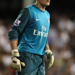 Vito Mannone's Victory: Arsenal's 1-0 Triumph Over Fulham, 2009 Vito Mannone's Victory: Arsenal's 1-0 Triumph Over Fulham, 2009