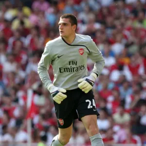 Vito Mannone's Victory: Arsenal's Thrilling 4-1 Win Over Stoke City in the Premier League (May 2009) Vito Mannone's Victory: Arsenal's Thrilling 4-1 Win Over Stoke City in the Premier League (May 2009)