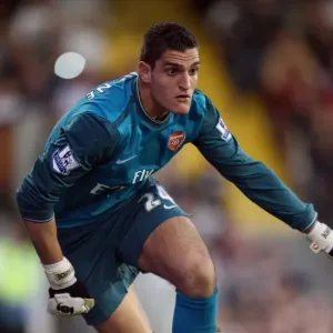 Vito Mannone's Winning Debut: Arsenal Triumphs Over Fulham 1-0 in the Premier League Vito Mannone's Winning Debut: Arsenal Triumphs Over Fulham 1-0 in the Premier League