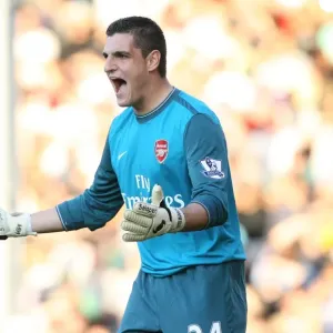 Vito Mannone's Winning Debut: Arsenal's 1-0 Victory Over Fulham in the Premier League Vito Mannone's Winning Debut: Arsenal's 1-0 Victory Over Fulham in the Premier League
