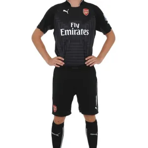 Wojciech Szczesny at Arsenal's Emirates Stadium (2014/15)
