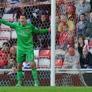 Wojciech Szczesny: Arsenal's Unyielding Guardian at Sunderland (2013-14) Wojciech Szczesny: Arsenal's Unyielding Guardian at Sunderland (2013-14)