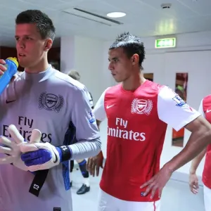 Wojciech Szczesny and Marouane Chamakh (Arsenal). Arsenal 3: 1 Stoke City