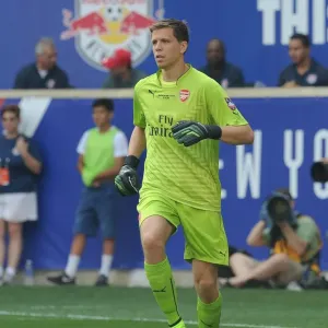 Wojciech Szczesny Print, Arsenal Goalkeeper Wojciech Szczesny Print, Arsenal Goalkeeper