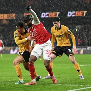 Wolverhampton Wanderers v Arsenal - Premier League