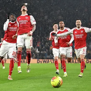 Wolverhampton Wanderers v Arsenal Premier League Print Wolverhampton Wanderers v Arsenal Premier League Print
