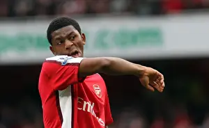 Abou Diaby in Action: Arsenal's Triumph over Birmingham City (3:1), Barclays Premier League, Emirates Stadium (17/10/09)