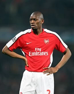 Images Dated 15th April 2009: Abou Diaby (Arsenal)