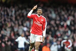 Arsenal v Aston Villa 2009-10 Collection: Abou Diaby celebrates scoring the 3rd Arsenal goal. Arsenal 3: 0 Aston Villa
