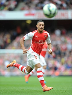 Arsenal V Hull City 2014-15 Prints: Alex Oxlade-Chamberlain: In Action for Arsenal Against Hull City, Premier League 2014-15