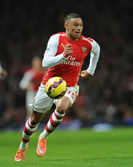 Arsenal V Manchester United 2014-15 Prints: Alex Oxlade-Chamberlain in Action for Arsenal against Manchester United