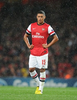 Arsenal V Olympiacos 2012-13 Prints: Alex Oxlade-Chamberlain in Action for Arsenal against Olympiacos