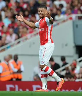 Arsenal V Benfica 2014-15 Prints: Alex Oxlade-Chamberlain in Action: Arsenal vs Benfica, Emirates Cup 2014