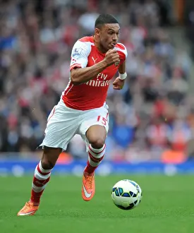 Arsenal V Hull City 2014-15 Prints: Alex Oxlade-Chamberlain in Action: Arsenal vs Hull City, Premier League 2014-15