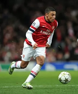 Images Dated 21st November 2012: Alex Oxlade-Chamberlain (Arsenal). Arsenal 2: 0 Montpellier. UEFA Champions League