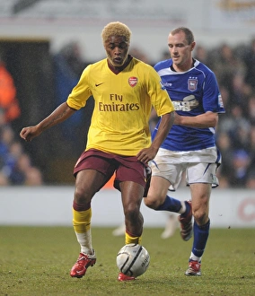 Ipswich Town v Arsenal Carling Cup 2010-11 Collection: Alex Song (Arsenal) Colin Healy (Ipswich). Ipswich Town 1: 0 Arsenal, Carling Cup Semi Final 1st Leg